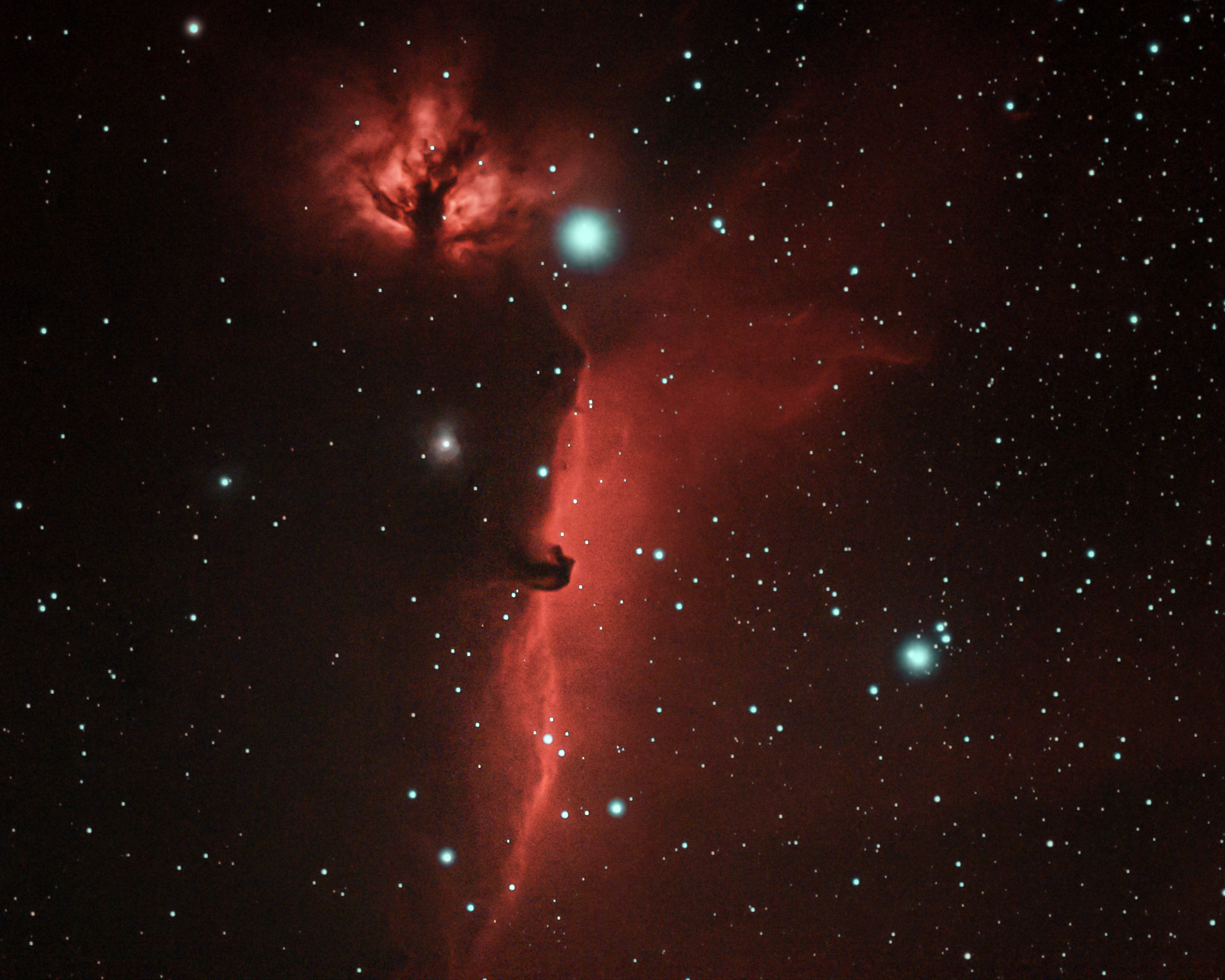 Barnard 33 — The Horsehead Nebula