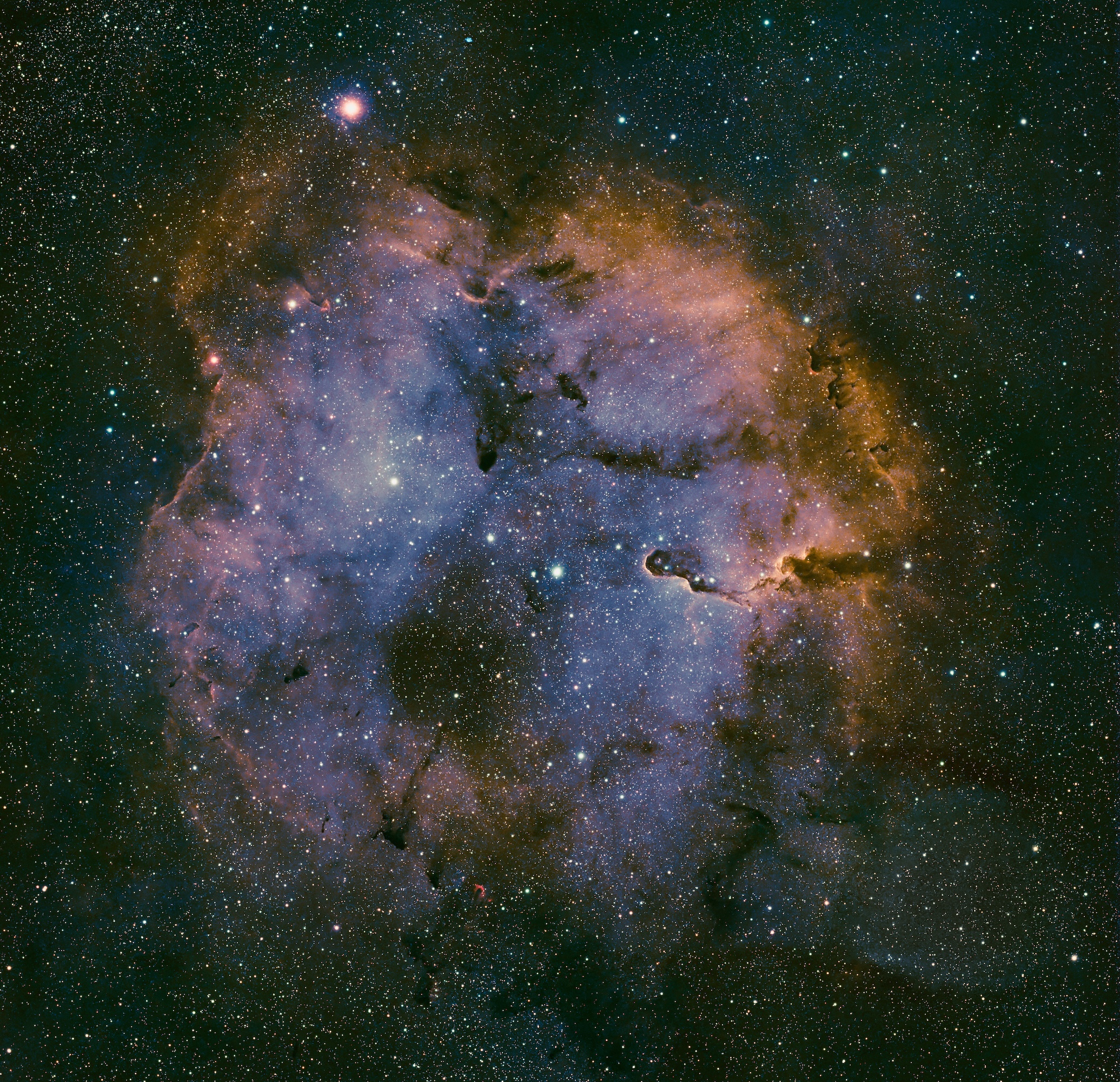 IC 1396 — The Elephant's Trunk Nebula