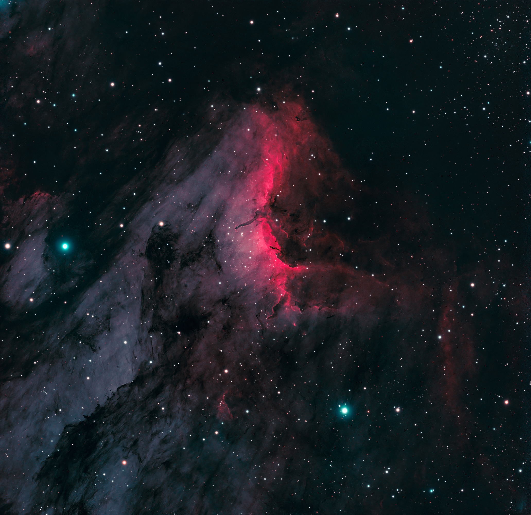 IC 5070 — The Pelican Nebula