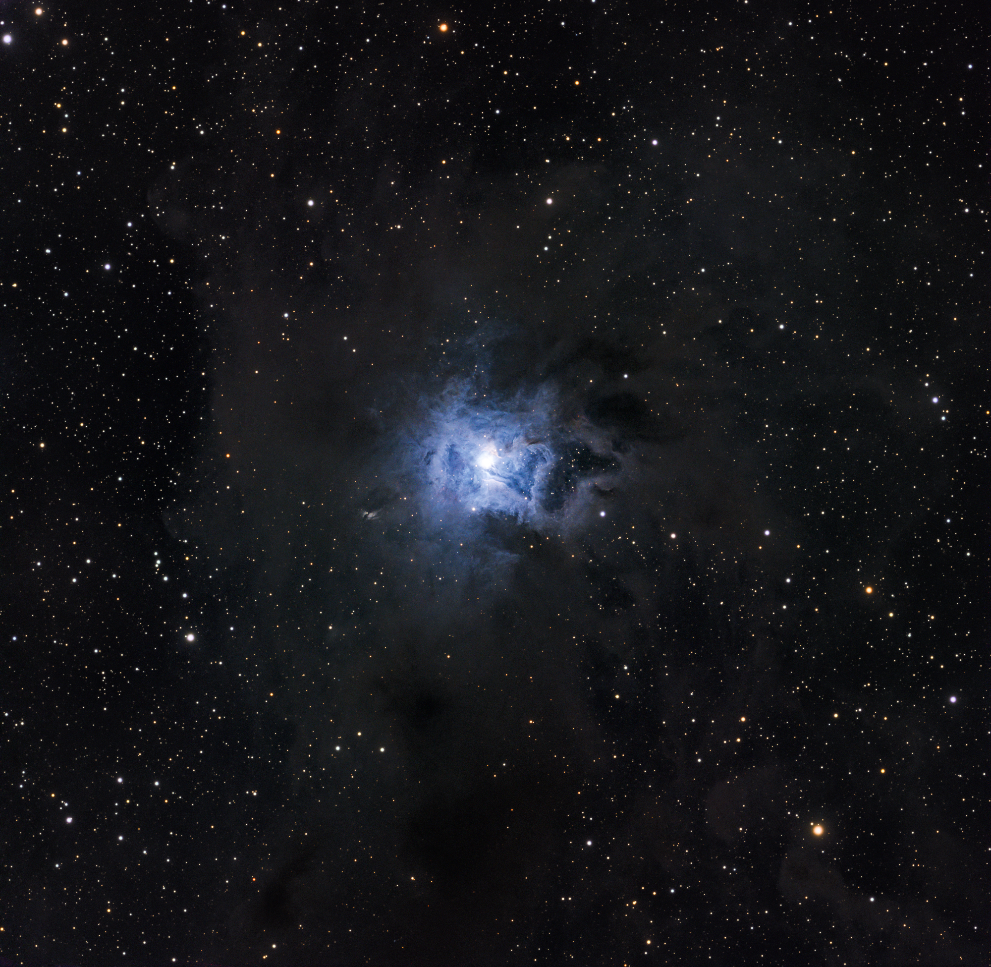 NGC 7023 — The Iris Nebula