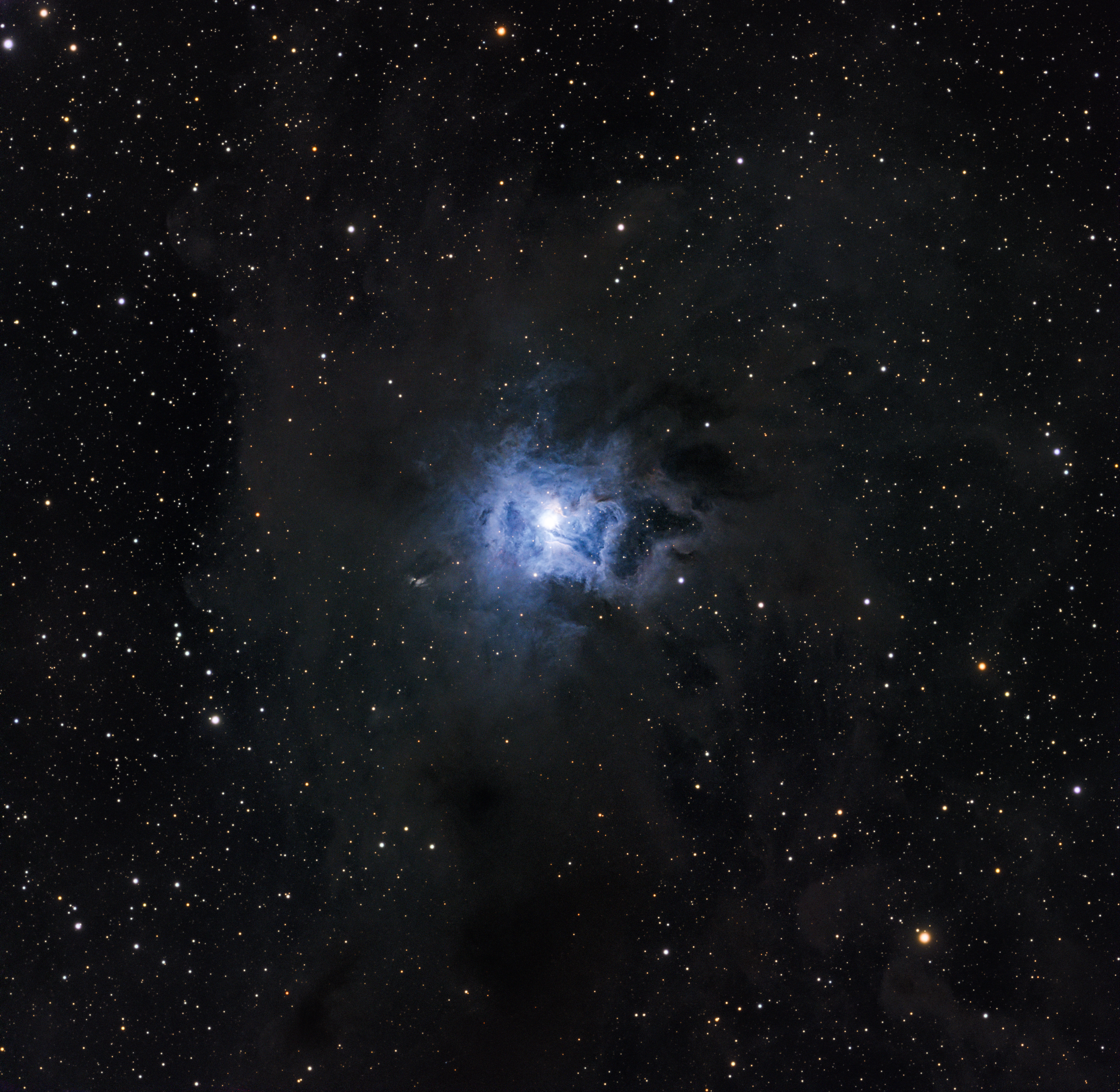 NGC 7023 - The Iris Nebula